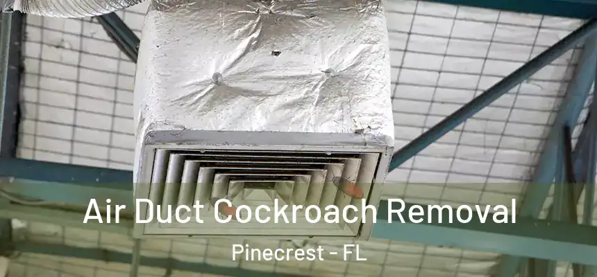 Air Duct Cockroach Removal Pinecrest - FL