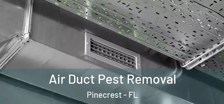 Air Duct Pest Removal Pinecrest - FL