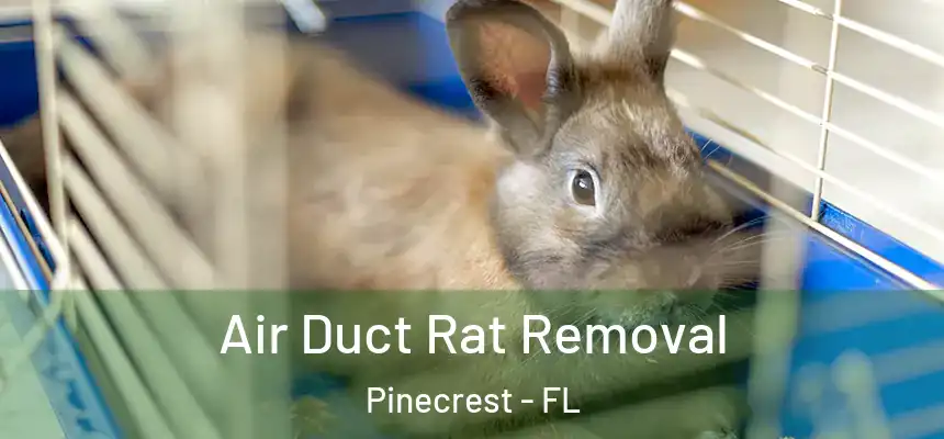  Air Duct Rat Removal Pinecrest - FL