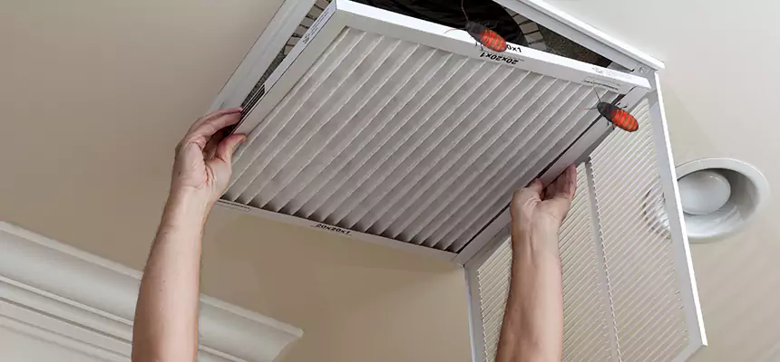 Preventive Cockroach-Proofing for Ducts in Pinecrest