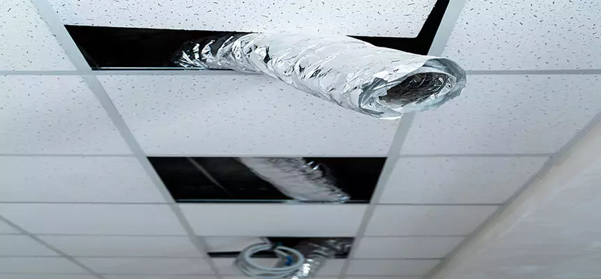 Affordable HVAC Sanitizing After Pest Removal in Pinecrest