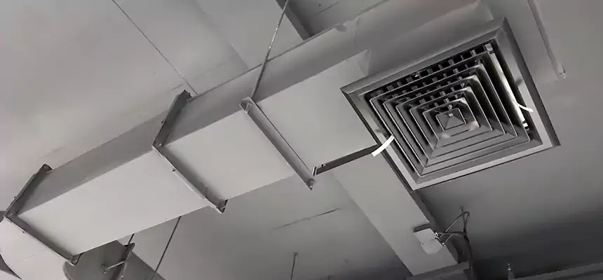 Restorative Allergy Relief Vent Cleaning – Coil, Blower & Housing Detail in Pinecrest