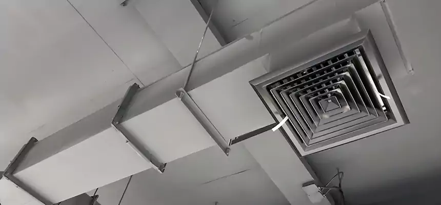 Our Rodent Droppings In Vents Services in Pinecrest, FL