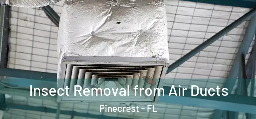 Insect Removal from Air Ducts Pinecrest - FL