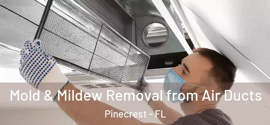 Mold & Mildew Removal from Air Ducts Pinecrest - FL