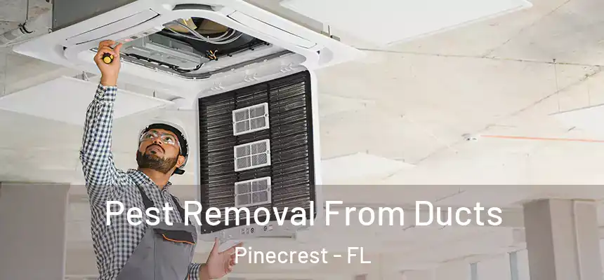  Pest Removal From Ducts Pinecrest - FL