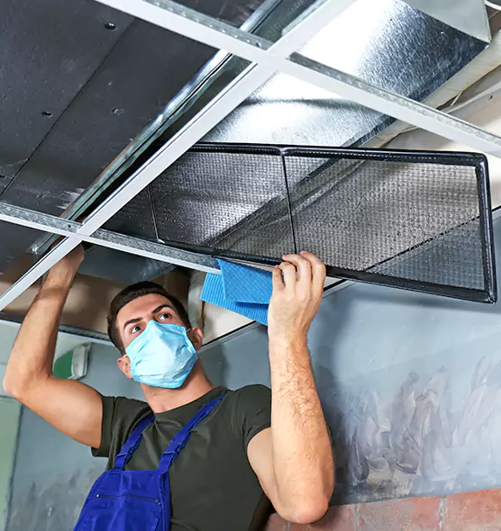 About Air Duct Bacteria Removal in Pinecrest