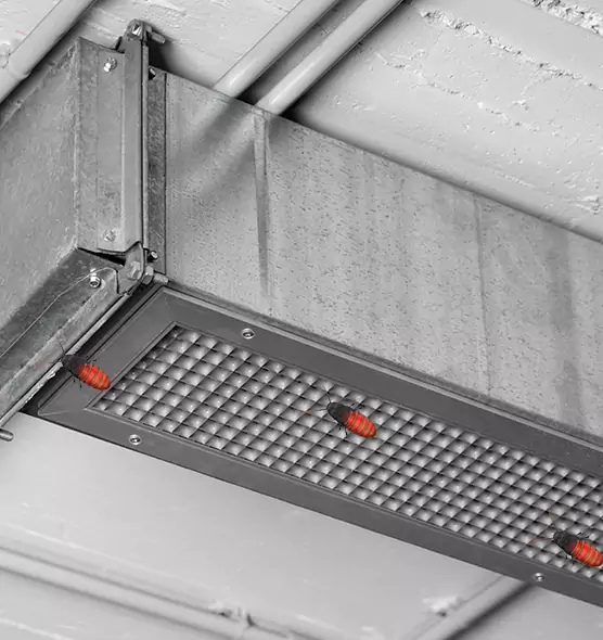 About Air Duct Cockroach Removal in Pinecrest, FL