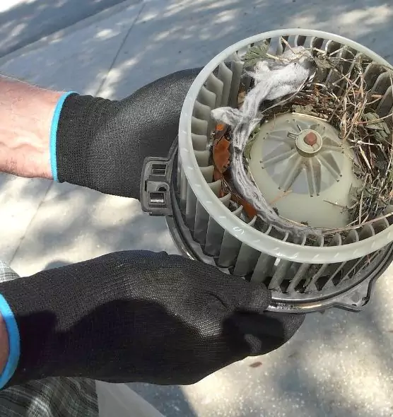 About Air Duct Mice Removal in Pinecrest, FL