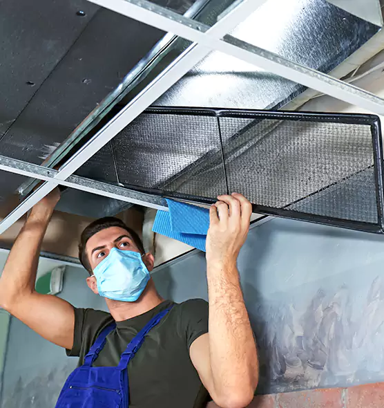 Professional Air Duct Pollen Cleaning in Pinecrest, FL