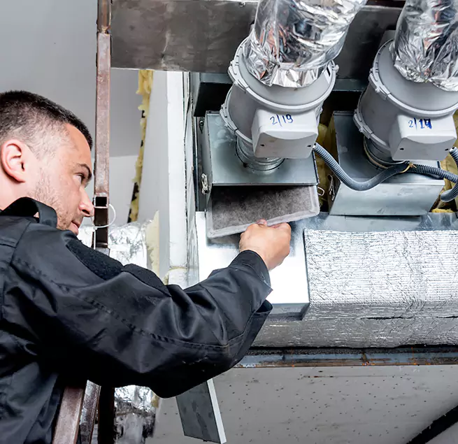 Why Homeowners & Businesses Trust Us in Pinecrest, FL?