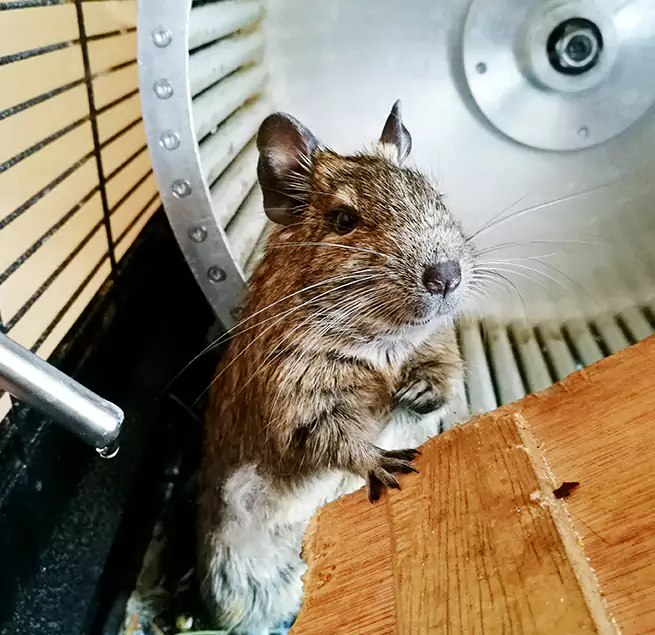 Why Homeowners & Businesses Trust Us Pinecrest, FL