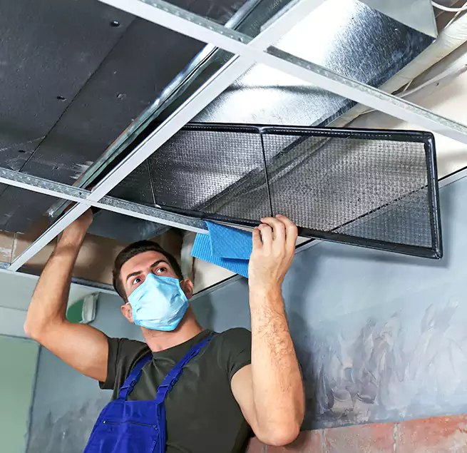 Why Homeowners Businesses Trust Us in Pinecrest, FL