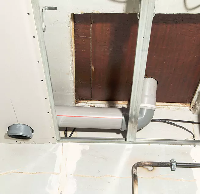 Why Homeowners & Businesses Trust Us in Pinecrest, FL?