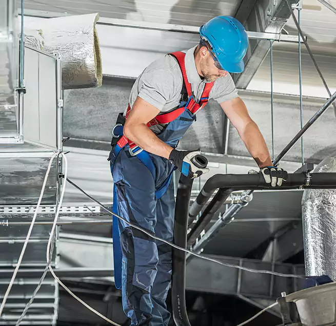 Why Homeowners & Businesses Trust Us in Pinecrest, FL?