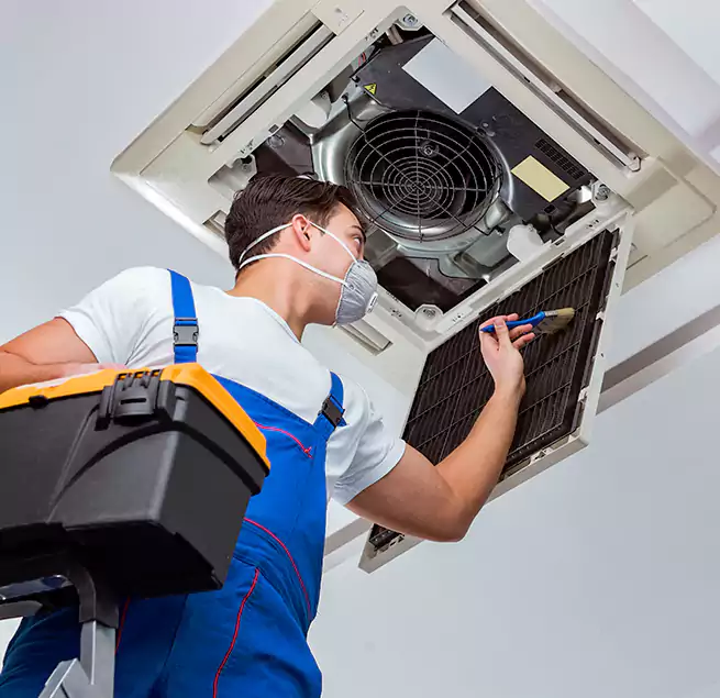 Why Homeowners & Businesses Trust Us in Pinecrest, FL