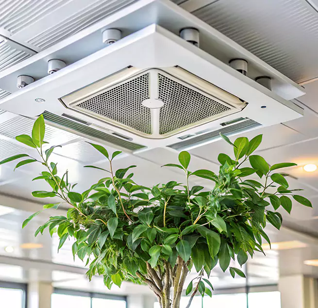 Why Homeowners & Businesses Trust Us in Pinecrest, FL?