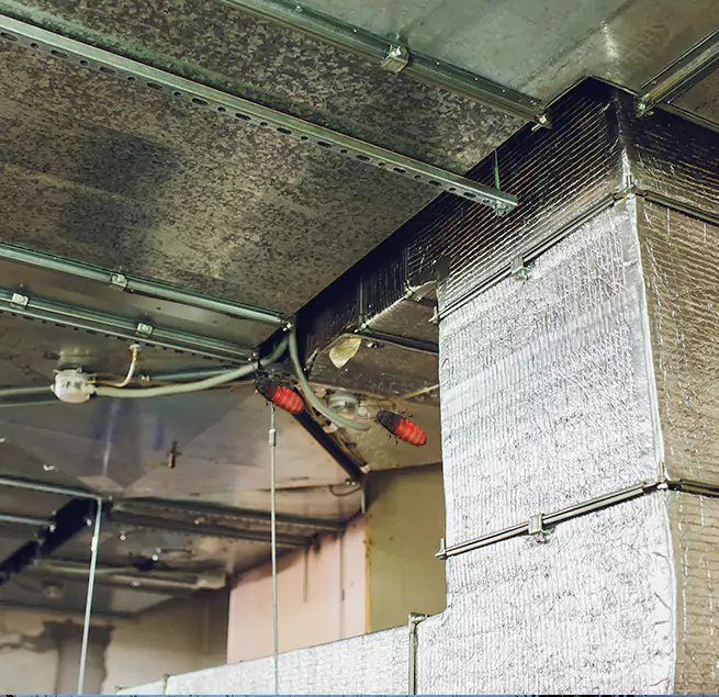 Why Homeowners & Businesses Trust Us Pinecrest, FL?