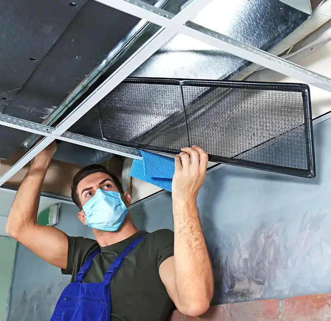 Why Homeowners & Businesses Trust Us in Pinecrest, FL?