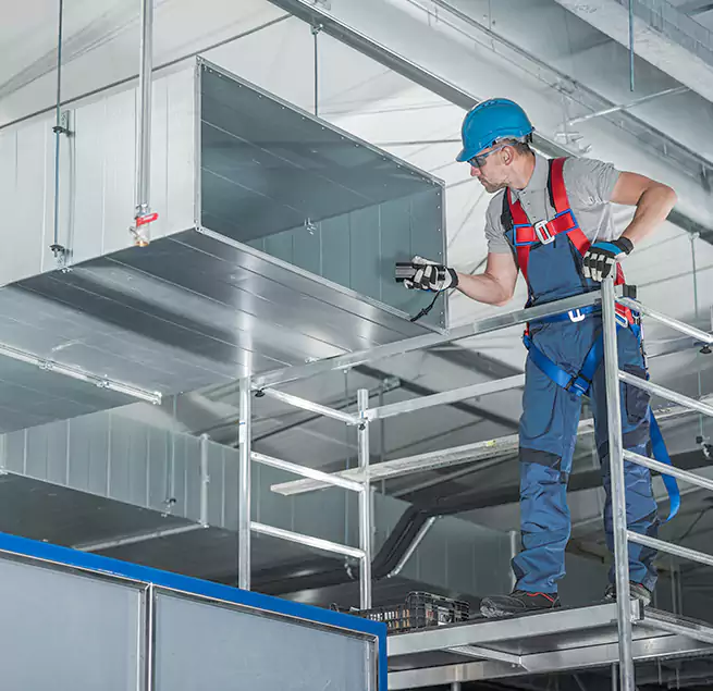 Why Homeowners & Businesses Trust Us in Pinecrest, FL?