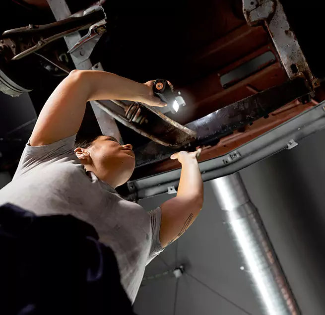 Why Homeowners & Businesses Trust Us Pinecrest, FL